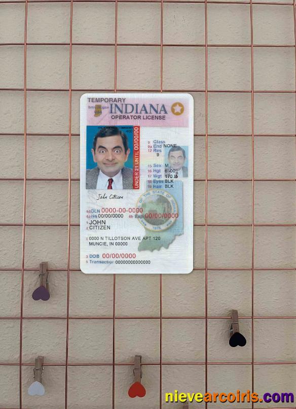 USA Indiana driving (operator) license photolook